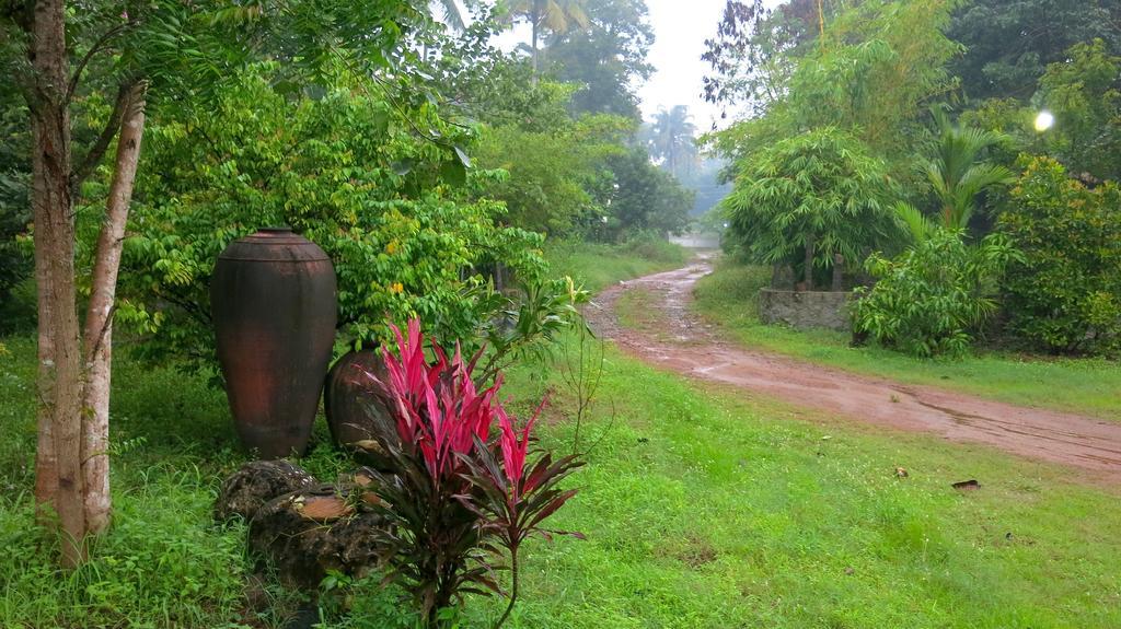 Clayfingers Art Cottage Thrissur Номер фото